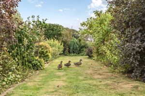 Photo 26- click for photo gallery